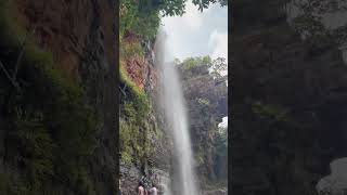 Talakona waterfalls❤️ subscribe travel ytshorts waterfalls yt ytviral youtube youtubeshorts [upl. by Schulze362]