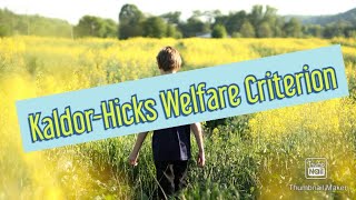 Kaldor  Hicks Welfare Criterion [upl. by Annahaj]