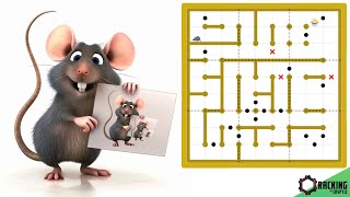 Rat Run Sudoku Marty Sears Is Surely Trolling [upl. by Toni850]