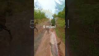 🐎 6 Miles in 15 seconds 🐎 endurancehorse horse equestrian trailriding gopro enduranceride [upl. by Arri]