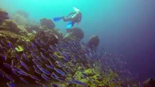 Supermans Flight Scuba Dive St Lucia GoPro [upl. by Omar874]