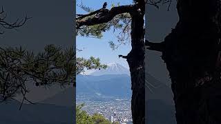 HIKING in JAPAN Yamanashi  KOFU ハイキング short 八王子山 [upl. by Rainger863]