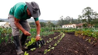 Importancia de la Agricultura Orgánica  TvAgro por Juan Gonzalo Angel [upl. by Andrew]