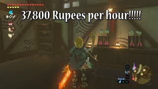 Make money fast 37800 Rupees in 1 hour in Zelda Breath of the Wild [upl. by Sucramd]