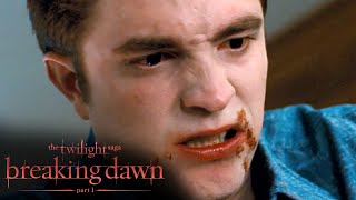 Edward Does Everything to Save Bella Scene  The Twilight Saga Breaking Dawn  Part 1 [upl. by Willmert186]