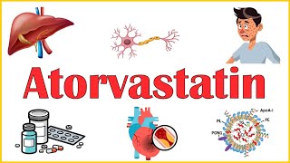 Atorvastatin  Everything You Need To Know Mechanism Of Action Adverse Effects amp Indications [upl. by Enihpled285]