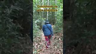 CAMINHANDO NA SELVA AMAZÔNICA Município de Alvarães estado do Amazonas visoesdaamazonia [upl. by Carl]