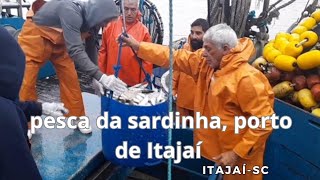 pesca da sardinha industrialdescarregando sardinha no porto de Itajaísc [upl. by Suoicerpal]