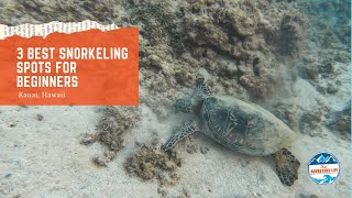 3 Best Snorkeling Spots in Kauai for Beginners  Kauai HI [upl. by Trovillion]