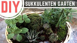 DIY Deko Kakteen und Sukkulenten Garten  Pflanzschale selber machen [upl. by Bodkin]