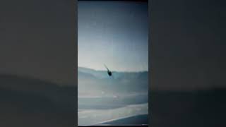 Gnat F1 low amp fast Full video on ColdWarJet channel [upl. by Ignatz]