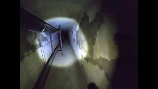 Pilgrim Psychiatric Center Tunnel in the woods RAW Video [upl. by Turk]