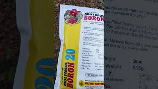 Multimol BORON 20 boron A micronutrient fertilizer [upl. by Kacy]