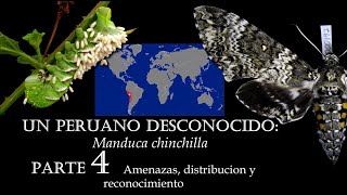 ENTOMOLOGÍA  Un peruano desconocido parte 4  Amenazas distribución y reconocimiento entomologia [upl. by Oly]