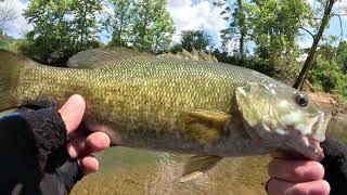 EPIC DAY Caney Fork River Fishing [upl. by Kenzi140]