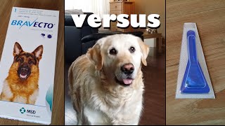 My Dog testing Bravecto Pill vs Spot Ons Anti Flea and Tick protection [upl. by Oiluig]