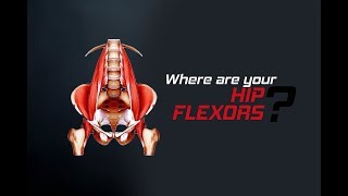 How to Stretch Your Hip Flexors تمرين استطالة للعضلات القابضة للورك [upl. by Neddie]