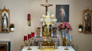 LIVE Eucharistic Adoration  Sisters of Divine Mercy [upl. by Xanthe]