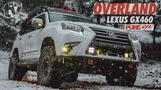 PURE TV Anthonys Lexus GX460 Walk Around Overland Build  Baja Designs Toyo Tires TE37XT PURE 4x4 [upl. by Albertina]