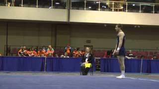 Craig Hernandez  Floor  2014 Winter Cup Challenge Prelims [upl. by Yoho100]