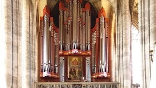 Großer Gott wir loben Dich RiegerOrgel Münster StGeorg Dinkelsbühl [upl. by Beka]