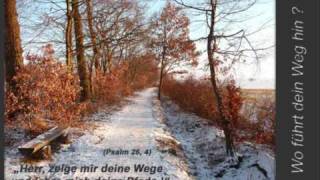 Andrea FreyFreiheit der Kinder Gottes HQ with Lyrics [upl. by Nomed]