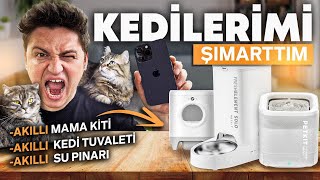 KEDİLERİME quotTEKNOLOJİK KEDİ ÜRÜNLERİNİquot ALDIM  Petkit Kedi tuvaleti mama kabı su pınarı [upl. by Argyle934]