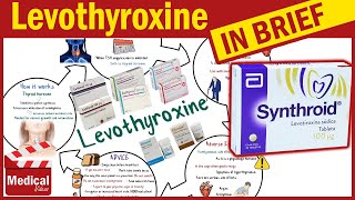 Levothyroxine  Synthroid  What is Levothyroxine Used For Dosage Side Effects amp Precautions [upl. by Lessirg711]