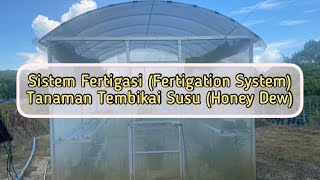 Sistem Fertigasi Fertigation System Tanaman Tembikai Susu Honey Dew  Rockmellon [upl. by Ronym]