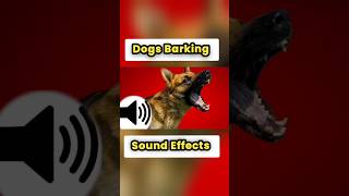 best dog barking sound effects puppy dog cutedogs cutepets shortstrending ytshorts doglover [upl. by Ahseym]