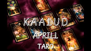 Taro Energiad Aprill KAALUD [upl. by Adnovahs]