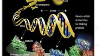 AIIMSampNEET BIOLOGY ampCSIRNET LIFESCIENCES w BIOTECHNOLOGY Summary ampReview qnson Dirmutagenesis [upl. by Eegnat793]