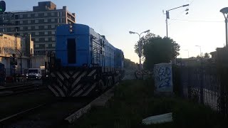 ALCo DL535 c651 Liviana pasando por Ituzaingó Trenes 28102024 [upl. by Blaze173]