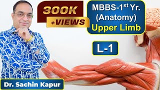 MBBS  First Year  1st Prof  Anatomy  Upper Limb L1  Dr Sachin Kapur  AIIMS [upl. by Ydeh477]