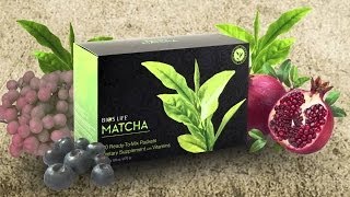 Manufacturing Of The Best Tea Alternative  Unicity Bios Life Matcha Chi Oka Matcha [upl. by Thomson417]