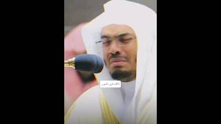 Yasser AlDosery Famous Recitation Surah Safat surahsaffat shortsfeed shorts [upl. by Consalve]