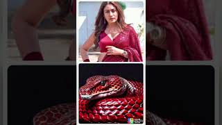 all nagin actress so gorgeous style status 🔥💐viral bollywood tranding shortsvideo [upl. by Popper809]