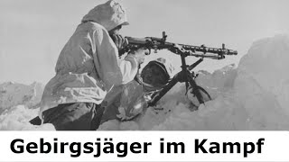 Gebirgsjäger an vielen Fronten  Teil 2  Erlebnisbericht eines Überlebenden 1943  1945 [upl. by Salvay57]