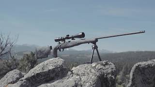 Weatherby Mark V Accumark Pro [upl. by Emeric]