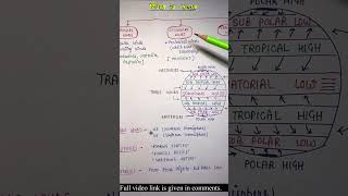 Types of Winds  Lec36  World geography  One Liners Topic Wise  An Aspirant [upl. by Ecinert]