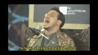 hamed shakernejad amazing maqam bayat [upl. by Druce]