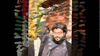 hissbollah sayed HASSAN NASRALLAH [upl. by Elorac]