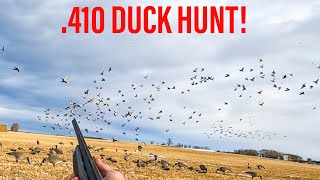 HUNTING DUCKS WITH 410 SEMIAUTO [upl. by Little]