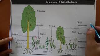 La Sortie écologique Sciences de la Vie et de la Terre SVT TCS BIOF Partie 1  continuité [upl. by Gudrun991]