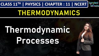 Class 11th Physics  Thermodynamic Processes  Chapter 11 Thermodynamics  NCERT [upl. by Neesay]