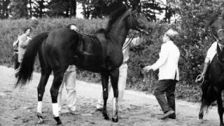 Remembering Ruffian Part 2 The Match Race [upl. by Lawler]