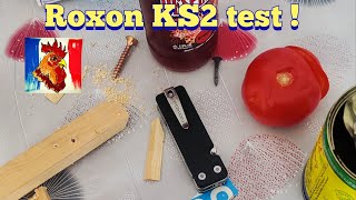 Roxon KS2 test [upl. by Htenywg548]