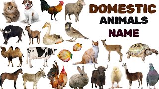 Domestic Animals Vocabulary ll Domestic Animals Name In English With Pictures ll Pet Animals Name [upl. by Rosario]