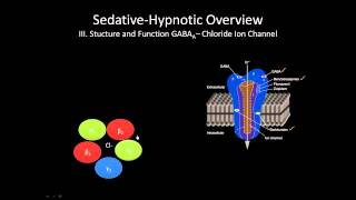 The GABA receptor  How does it work [upl. by Mcneely72]