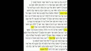 Balak  Numbers Chapter 2 verses 2  13 Spoken not chanted  Jan Lieberman [upl. by Adlemi]